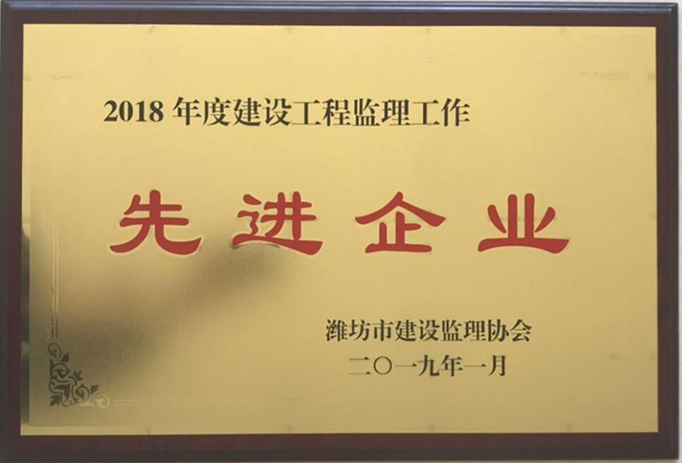 点击查看详细信息<br>标题：2018年度先进监理企业 阅读次数：2612